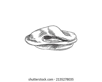Mussels mollusc or clam without shells, hand draw engraving or etched style vector illustration isolated on white background. Shelled shellfish of mussel.