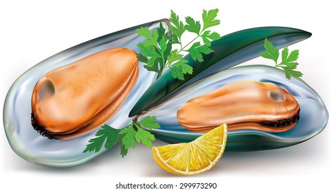 mussels on a open shells with lemon and parsley