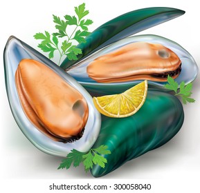 mussels on a open shells with lemon and parsley