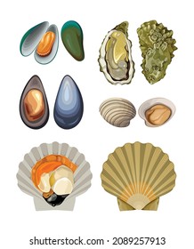Mussels Oyster Clams Shell Vector Set Illustration