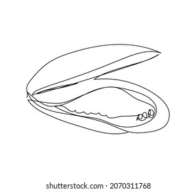 Mussels, sea clams continuous line drawing. One line art of fish, seafood, molluscs.