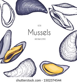 Mussels. Seafood.Set of hand drawn graphic illustrations.Decorative card or flyer design with sea food sketch. Vintage menu template.