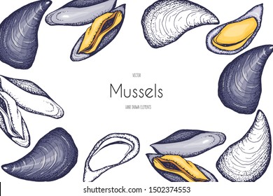 Mussels. Seafood.Set of hand drawn graphic illustrations.Decorative card or flyer design with sea food sketch. Vintage menu template.