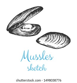 Mussels seafood sketch vector, hand drawn pencil drawing isolated design element.