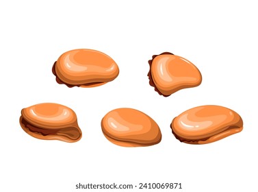 Mussels set vector illustration. Cartoon isolated top view of different fresh or steamed large mussels without shells, gourmet clam seafood, delicious starter and delicacy for buffet or dinner meal