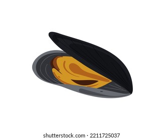 Mussels in shell isolated on white background. Vector illustration.