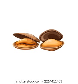 Mussels vector illustration. Cartoon isolated two shellfish marine animal from sea or ocean, clam mussels with open shells, natural fresh seafood product of fishing to cook gourmet meal and snack