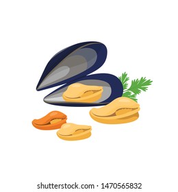 Mussels vector illustration in flat design isolated on white background.