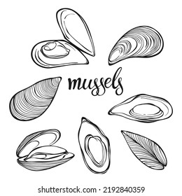 Mussels. Vector illustration, isolated elements on white. Concept for logo, menu, cards print, invitation.