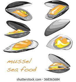 Mussels vector illustration on white background