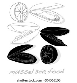 Mussels vector illustration on white background