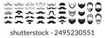 Mustache and beard icon set vector. Vintage mustache, funny fake mustaches mask and retro curly moustaches and beard