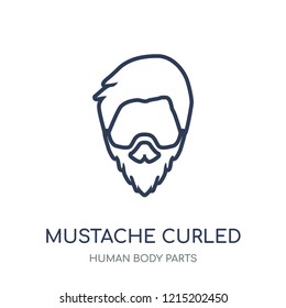 Mustache curled tip variant icon. Mustache curled tip variant linear symbol design from Human Body Parts collection.