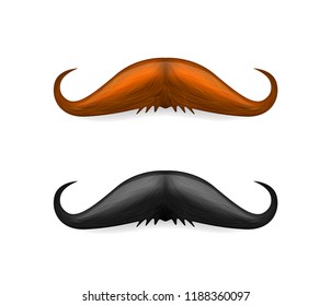 Mustache illustration. Vector brown and black mustaches isolated on white background.