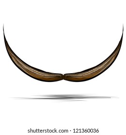 Mustache isolated on white. Hand drawing sketch vector illustration