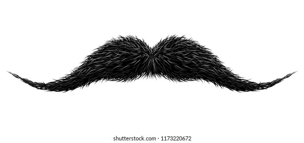 Mustaches for barbershop or Mustache Carnival. Detailed vintage black victorian mustache isolated on white