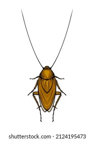 Mustachioed cockroach. Colored vector illustration in cartoon style on a white background EPS 10