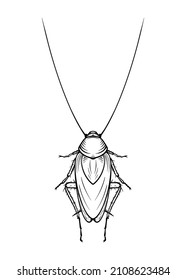 Mustachioed cockroach. Vector illustration in cartoon style on a white background.