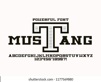 Mustang font. Vector alphabet letters. Typeface design. 