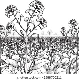 mustard field silhouette line art black and white premium stock photos clean white background illustration