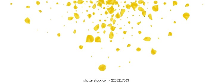 Mustard Floral Falling Vector Panoramic White Background. Spring Cherry Wallpaper. Yellow Sakura Tender Backdrop. Gold Petal Japanese Texture.