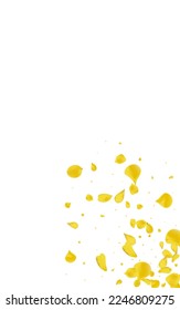 Mustard Floral Japan Vector White Background. Summer Peach Template. Yellow Rose Falling Banner. Canary Lotus Beauty Wallpaper.
