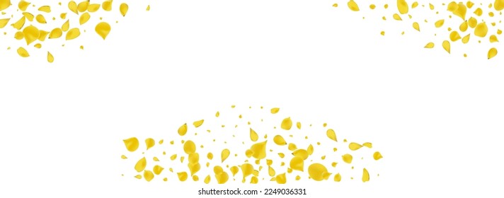 Mustard Floral Tender Vector Panoramic White Background. Summer Rose Poster. Yellow Sakura Japan Pattern. Gold Cherry Falling Design.