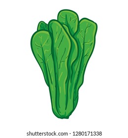 Mustard Green Vector Illustration