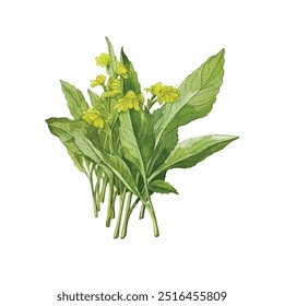 mustard green watercolor clipart illustration isolated