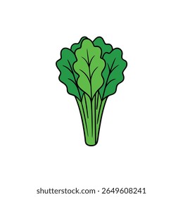 Mustard greens bunch with leafy texture healthy flat vegetable Vector illustration