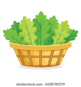 Mustard greens in busket Green Leafy Vegetables vector illustration