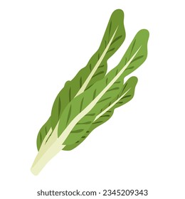 Mustard greens flat icon vector illustration, brown mustard or vegetable mustard, indian or chinese mustard vegetables in cartoon style