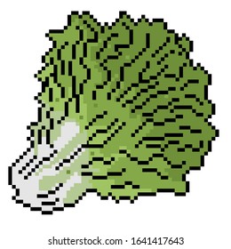 
mustard greens illustration isolated on white background. pixel art style. eps 10
