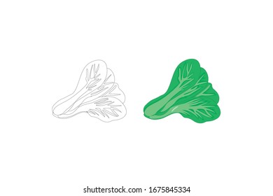 Mustard Greens  Vector Illustration Of A Vegetable Bundle