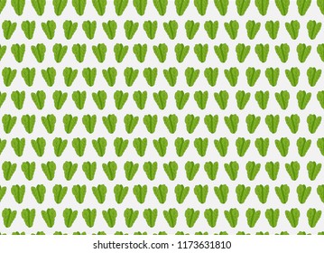 Mustard greens wallpaper art design vector illustration vegetables seamless, cabagge mustard greens vector illustration