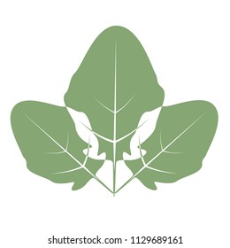 Mustard leaves, overlapping, in green.  Transparent background (all portions shown as white) in vector file.  White background in jpeg file.  