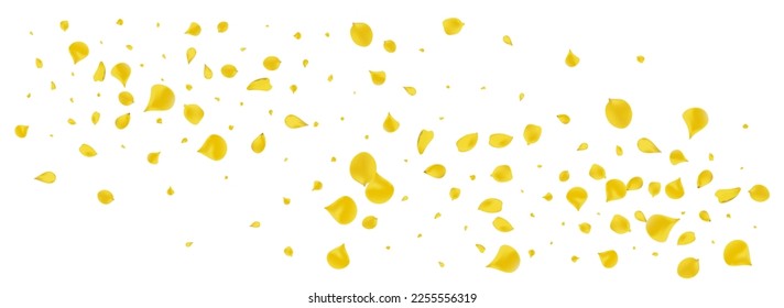 Mustard Lotus Tender Vector Panoramic White Background. Blur Peach Texture. Gold Blossom Fall Banner. Yellow Petal Fly Wallpaper.