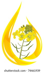 Mustard oil. Stylized drop of oil and mustard flower. Vector illustration.
