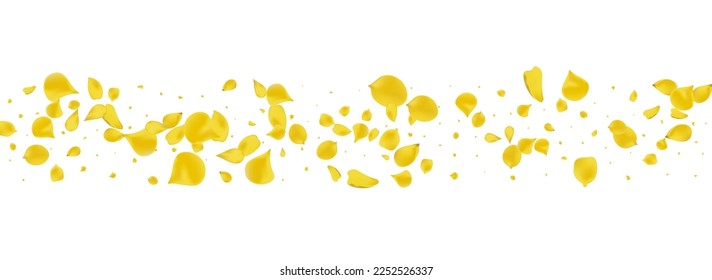 Mustard Peach Beauty Vector Panoramic White Background. Fly Blossom Illustration. Yellow Sakura Falling Pattern. Canary Floral Fall Banner.