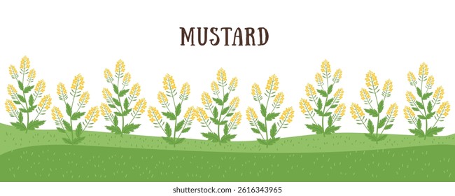 Mustard plant banner, cover crop. Gardening, regenerative farming, nature, soil care concept. Vector hand drawn background.