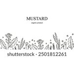 Mustard plant engraved banner, hand drawn vector illustration. Background with mustard flower, branch, seed, leaf. Food ingredient. The images created without use  any artificial intelligence software