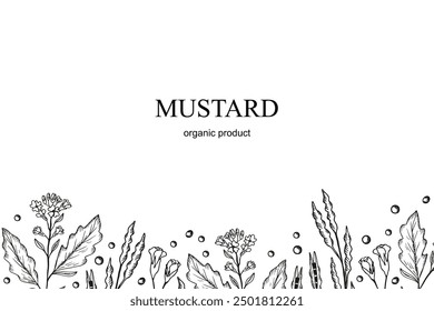 Mustard plant engraved banner, hand drawn vector illustration. Background with mustard flower, branch, seed, leaf. Food ingredient. The images created without use  any artificial intelligence software