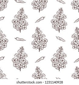 Mustard. Plant. Flower, pod. Background, wallpaper, texture, seamless. Monochrome. Sketch.