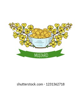 Mustard. Plant. Flowers, Seed, Bowl. Sketch. Color