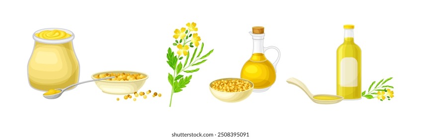 Mustard Plant with Seeds and Yellow Flower Vector Set