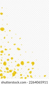 Mustard Sakura Japanese Vector Transparent Background. Summer Blossom Frame. Canary Floral Beauty Poster. Yellow Rose Falling Backdrop.
