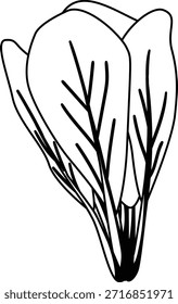 Mustard vegetable mono shadow illustration