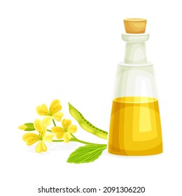 Mustard Yellow Oil Poured in Glass Corked Jar and Plant Blossom with Pod Vector Illustration