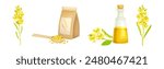 Mustard Yellow Spice and Condiment Vector Set