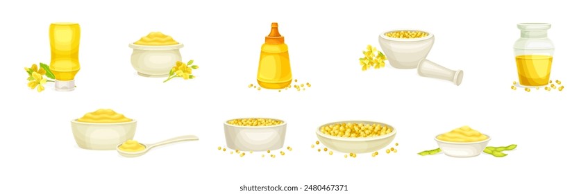 Mustard Yellow Spice and Condiment Vector Set